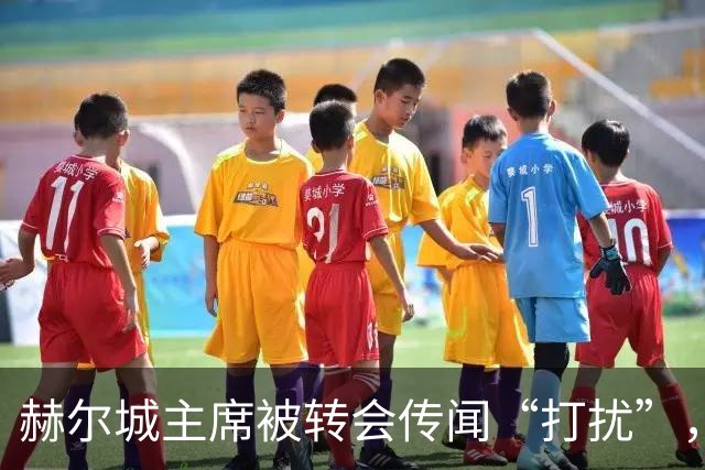 赫尔城主席被转会传闻“打扰”，发帖用国旗和百分比透露引援进展