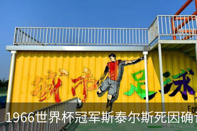1966世界杯冠军斯泰尔斯死因确认：头球13万余次致脑病